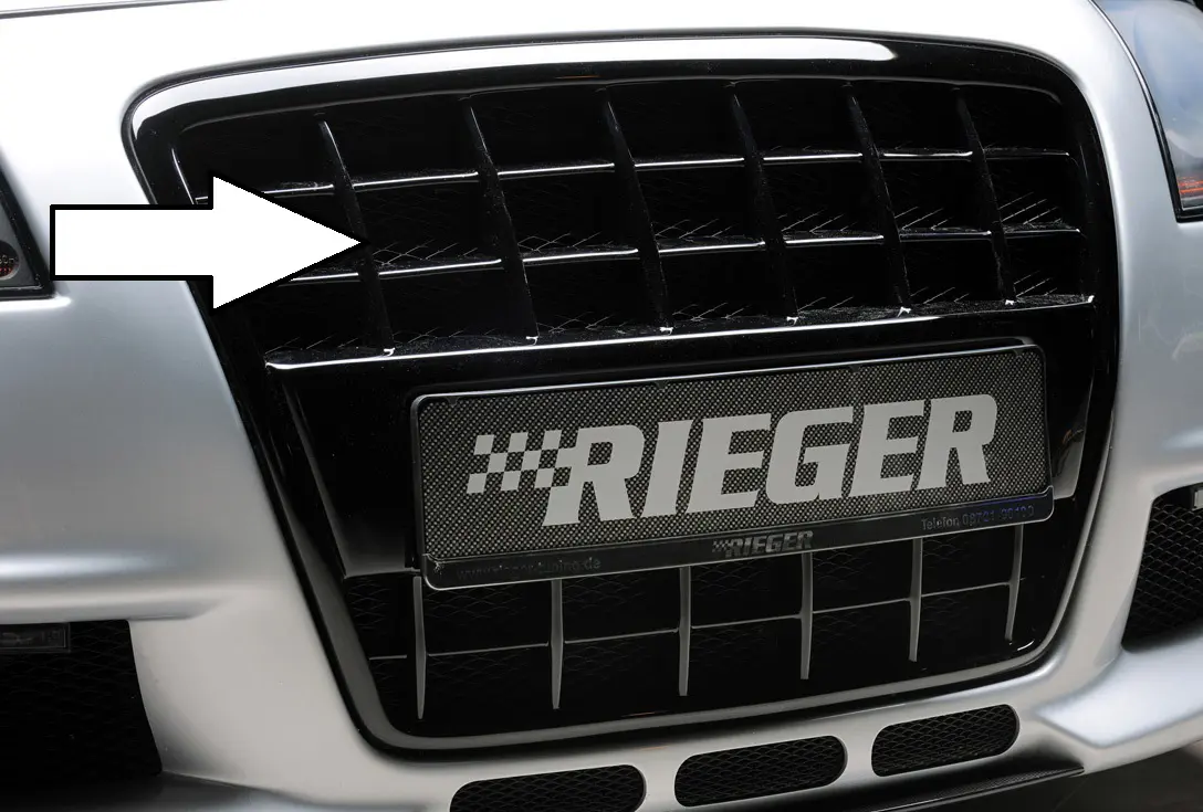Rieger Grill mit integrierter Kennzeichenauflage für Audi A4 B6