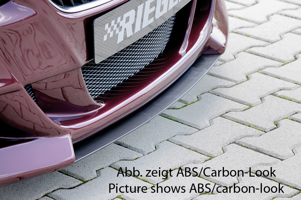 Rieger Spoilerschwert für BMW Z4 E85 / E86