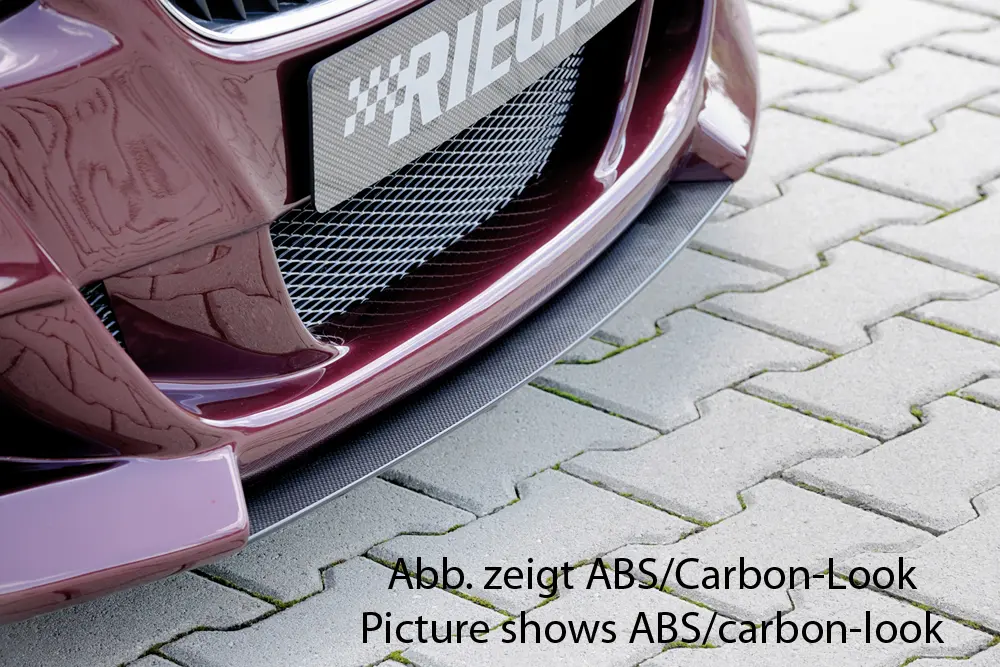 Rieger Spoilerschwert für BMW Z4 E85 / E86