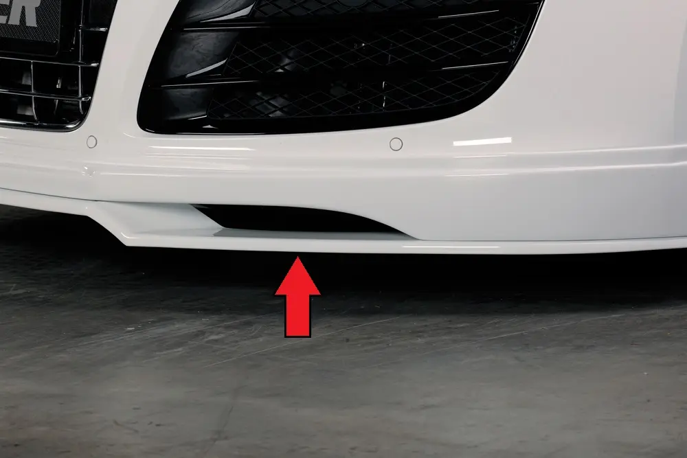 Rieger Spoilerschwert für Audi R8 42
